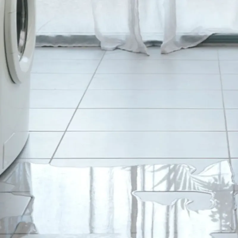 Appliance Leak Cleanup in Middletown, IN
