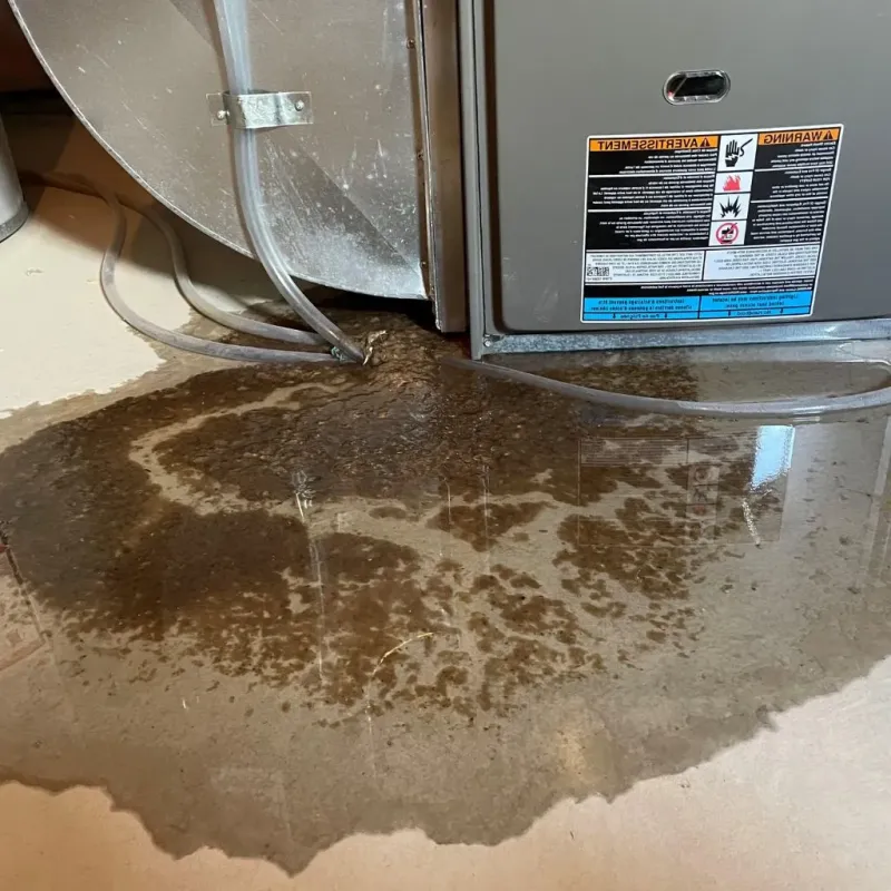 Pipe Burst and Leak Restoration in Middletown, IN