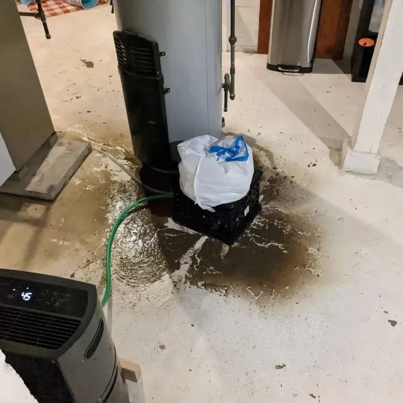 Sewage Backup Cleanup Service in Middletown, IN